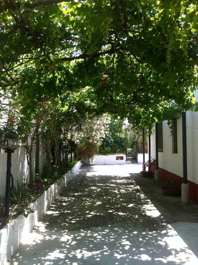 Casa Vacanze Paestum - Cilento Exterior photo